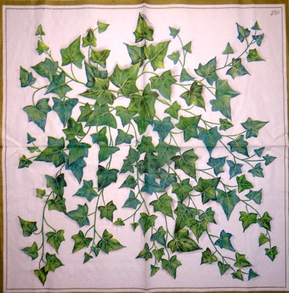 005 Plants - 3 ply - Ihr